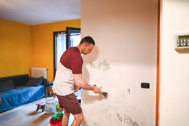 Best Emergency Mold Removal  in Erma, NJ